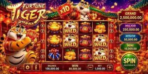 Fortune Tiger 67BD What Makes the Game Stand Out
